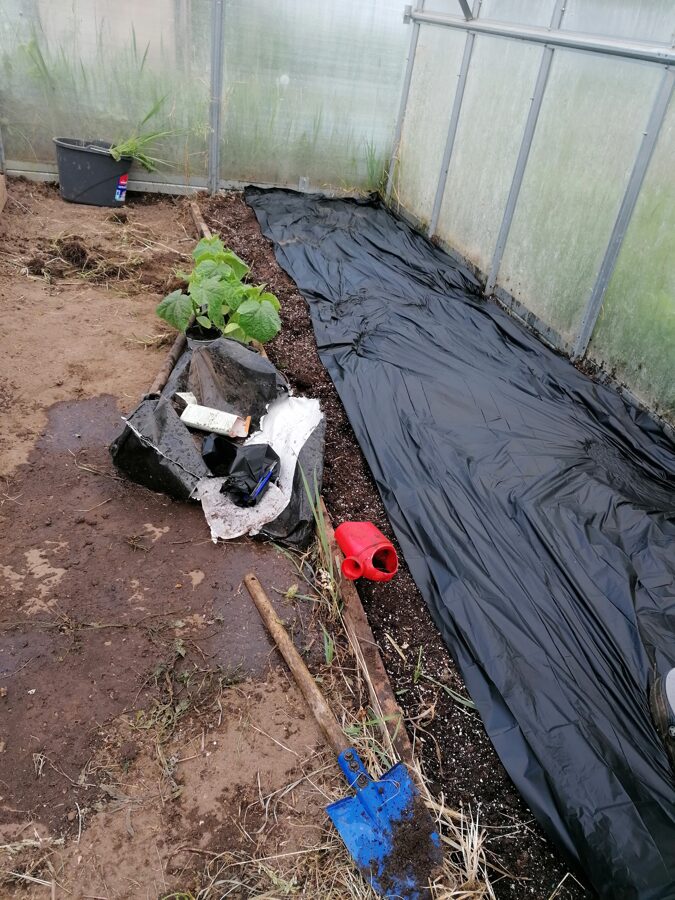 BioAgri plēve dārza augsnes segšanai
