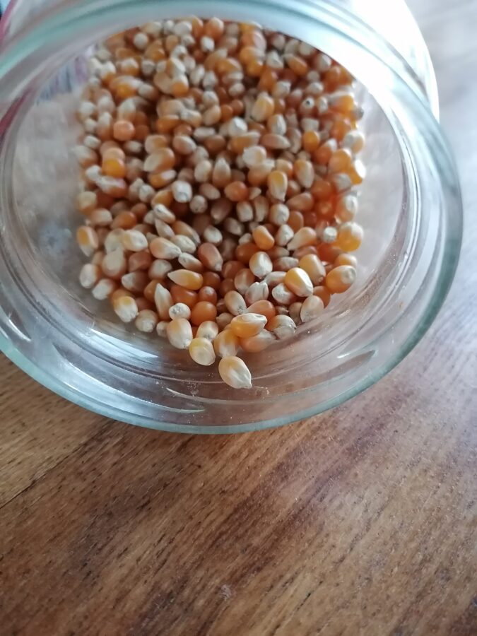 Popkorna- kukurūzas graudi 50g