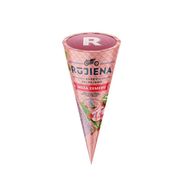 Rūjienas saldējums 110ml